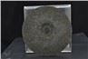 grinding disc back side